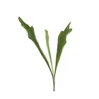 Nearly natural plastic artificial flower horn leaf for home decoration