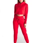 Wholesale Streetwear Sweatshirts Women Hoodie Custom Long Sleeves Crop Top Gym Wear Women Hoodie Set