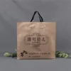 /product-detail/hot-sell-toughness-high-handle-custom-shopping-clothes-gift-gravure-printing-logo-for-packaging-plastic-bags-62386716010.html
