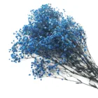 Yunnan manufacturer wholesale gypsophila artificial high quality natural dried bouquet flowers