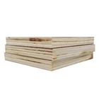 18mm film faced plywood construction grade waterproof sheet
