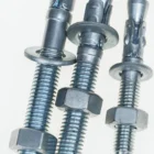 M8*60-30*500 4.8 grade cold galvanizing wedge anchors