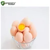 /product-detail/high-quality-egg-powder-62292185363.html