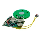 Audio custom sound greeting card with sound module