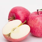Apple Fruit Apple Shaanxi Good Taste Fresh Apple Cheap Apple Fruit Price