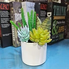 Cactus High-quality Mini Plant Combination Succulent Potted Small Bonsai Artificial Spikey Cactus Bonsai