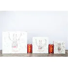 2019 new custom gift bag for shopping packing