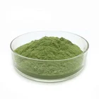 Moringa Leaf Powder Leafpowderleaf Moringa Powder Best Price Moringa Leaf Powder