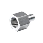 Female Threaded Connectors Pipe Butt Weld and NPT Thread Pipe Fitting