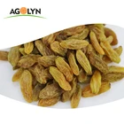 Grade AAA Dried Fruits Golden Raisin For Sale