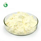 Lemon Extract Natural Lemon Juice Powder Powder Spray Dried Natural Organic Lemon Juice Powder