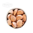 2020 China/Chinese Best Wholesale Fresh Garlic Price -new crop, high quality for export