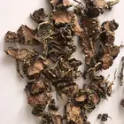 1028 Hong jing tian Herbal Healthcare Product Rhodiola Rosea Root
