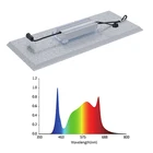 Samsung Real High PPFD Samsung Lm301h LED Grow Light For Indoor Medical Plants