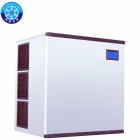Ice Energy Saving Commercial Japanese Ice Machine Ice Maker With Ice Capacity 455kg/24h