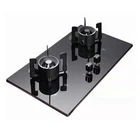 Gas Stove Gas Hob A Gas Stove 2 Plate Gas Stove Burner Cooker 2 Burner