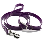 Custom Logo Waterproof Blueberry Pet Christmas Dog Collar Metal Buckle And Lead