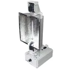 Digital Ballast with Five Fear Dimming Knot 600 750 825 1000 1150 DE 1000W HPS Grow Light