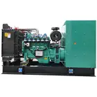 Electric Power Generator Electric Generator Continuous Electric Power 100kva Biogas Generator 50kw 100kw 150kw 200kw