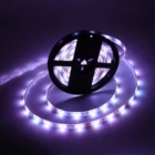 Led Strip Led Led Light Strip Light Waterpoof 12v 24v 5050 Rgb Rgbw Led Strip Light With IR Remote Controlled 5M/roll