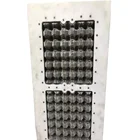 China manufacture plastic egg tray mold
