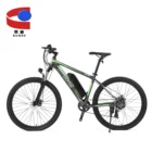 Electric Bicycle Bike China Factory Price Electric Bicycle Mountain Bike for Adult