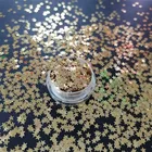 Star Star Glitter Suppliers Star Glitter Flake