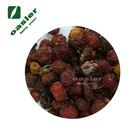 Rosehip Rose Hip Extract Tablet Rosehip