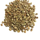 Coffee Beans Prices Yunnan Pu'er Arabica Green Coffee Beans With Nice Prices A AAA AA Grade 1200-1400 Height