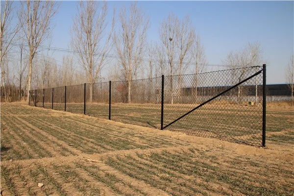 chain link fence (6).jpg