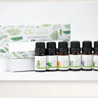 Customized 100 % Pure Nature Aromatherapy Essential Oils Gift Set With Private label Box