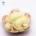 New Crop Diced IQF Frozen White Onion