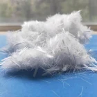 Hot Sale Factory Direct Supply Pp Pe Synthetic Fiber For Concrete Dock Banks And Piers