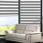Super September Low Price Sheer Blind Day Night Roller Blind