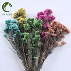 China Wholesale Preserved Millet Flower Rice flower for Dried Flower Decoration