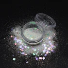 Pet Mixed Glitter Chunky Cosmetic Mixes
