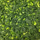 fresh IQF frozen chopped spinach frozen spinach dice