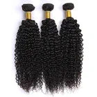 Unprocessed 100% Wholesale Deep Curly Virgin Malaysian Hair for Black Women