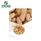 chinese roasted peanuts with shell new crop 9-11