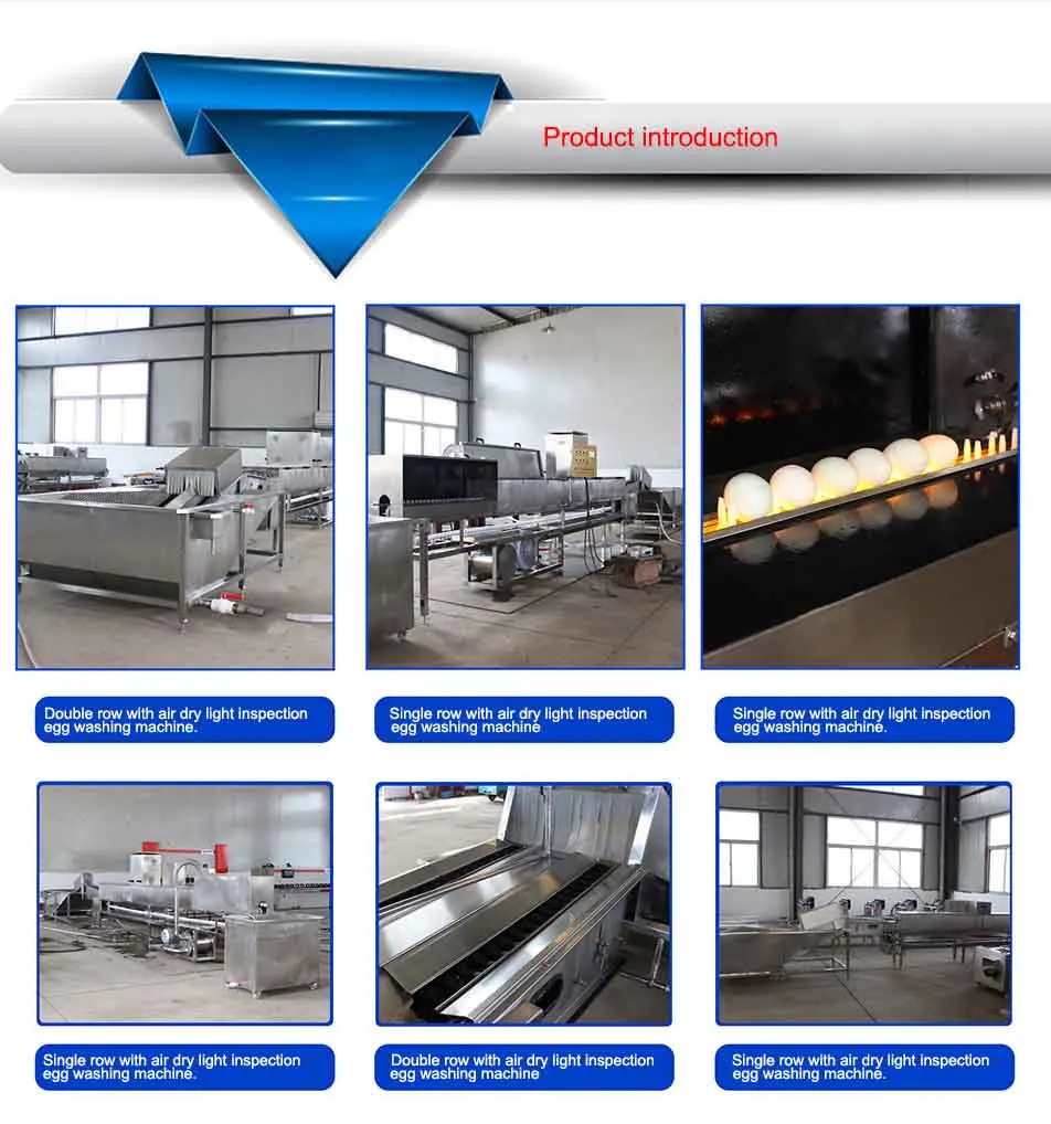 Automatic Egg Grader Size Weight Sorting Grading Packing Processing Machine Chicken Egg Cleaning and Weight Sorter Machine factory