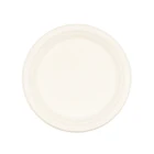 Disposable Plate Professional Manufacture Biodegradable Disposable Bagasse Tableware Large Oval Plate