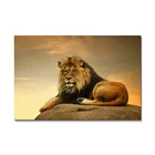 Gallery wrapped large gold African animals male lion king HD picture wall hang canvas print art painting