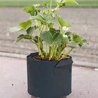 Pot Plant 10 Years Factory 7 Gallon Nonwoven Pot Fabric Plant Grow Bags