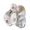High quality calcium animal feed whole dried oyster shell 6-9cm 9-12cm