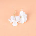 Shell Earrings New Fashion Alloy Ear Hook Shell Earrings Temperament Ins Ear Jewelry Wild Ladies