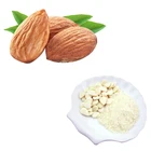 HONGDA Russia Directly Shipping 100% Sweet Almonds Extract Powder Amond Flour Powder