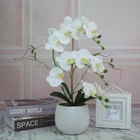 Artificial Butterfly Moth Orchid Orchids Flower for Wedding Centerpieces Decorative Artificial Flowers with vase