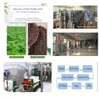 Advanced tech Herbel bulk PLANT oil Perilla Seed Oil