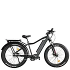 Aluminum Ebike 1000W 48V 17Ah Chinese Fat Tire