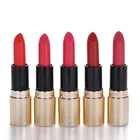 hot sale velvet lipstick OEM lipstick with tester organic lipstick